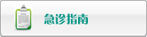 美女逼黄色网
